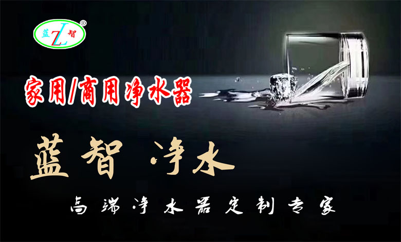 蓝智家用/商用净水器